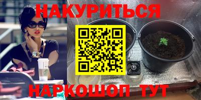 спайс Будённовск