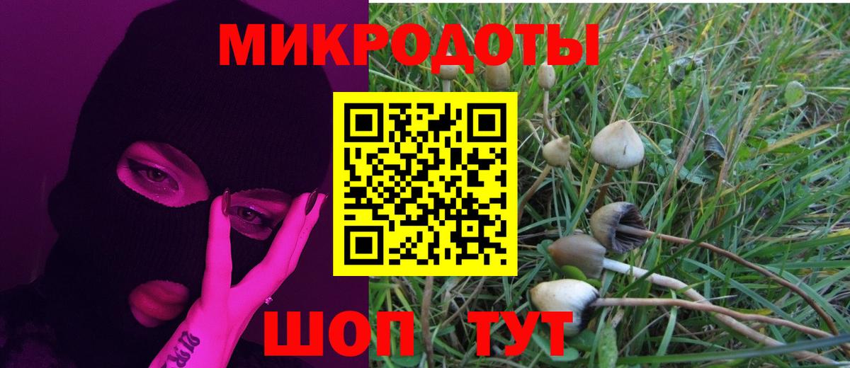 Лабинск  Галлюциногенные грибы MAGIC MUSHROOMS  Вход с VPN  Псилоцибиновые грибы Psilocybine cubensis 