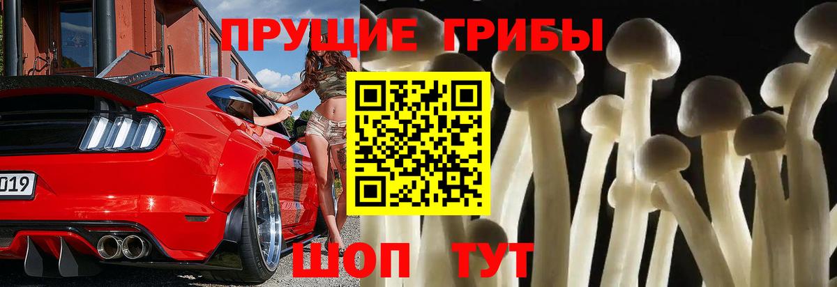 Галлюциногенные грибы GOLDEN TEACHER Лабинск